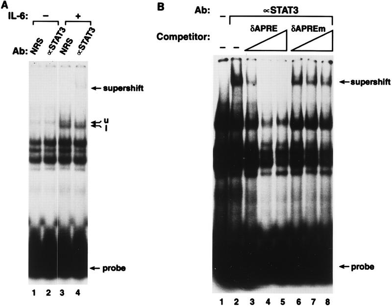 FIG. 5