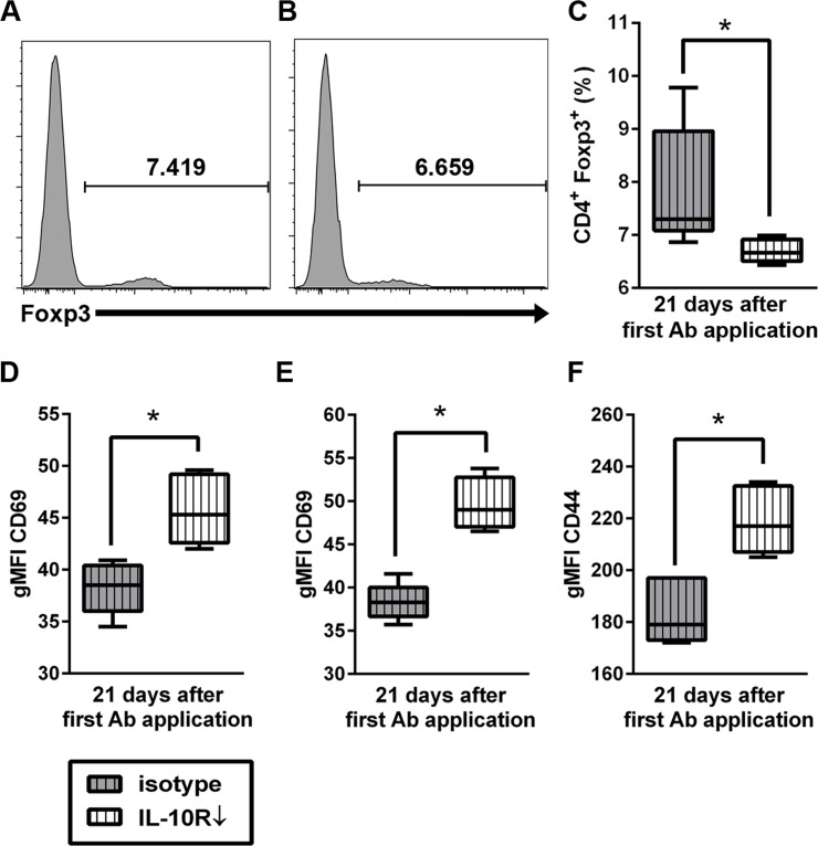 Fig 12