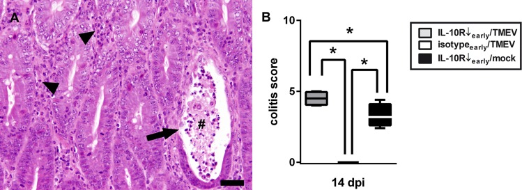 Fig 7