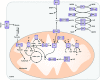 <b>FIG. 7.</b>