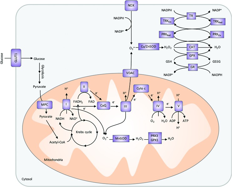 FIG. 7.