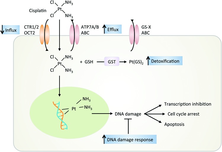 FIG. 8.