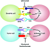 <b>FIG. 5.</b>