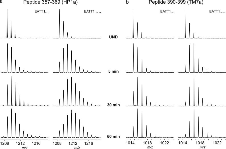 Figure 2—figure supplement 3.