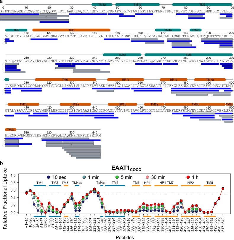 Figure 2—figure supplement 2.