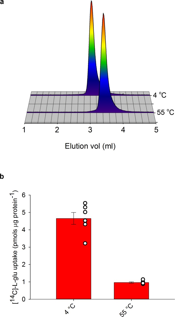 Figure 3—figure supplement 1.