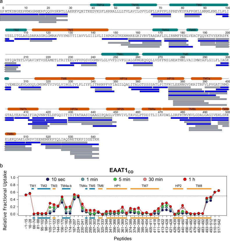 Figure 2—figure supplement 1.