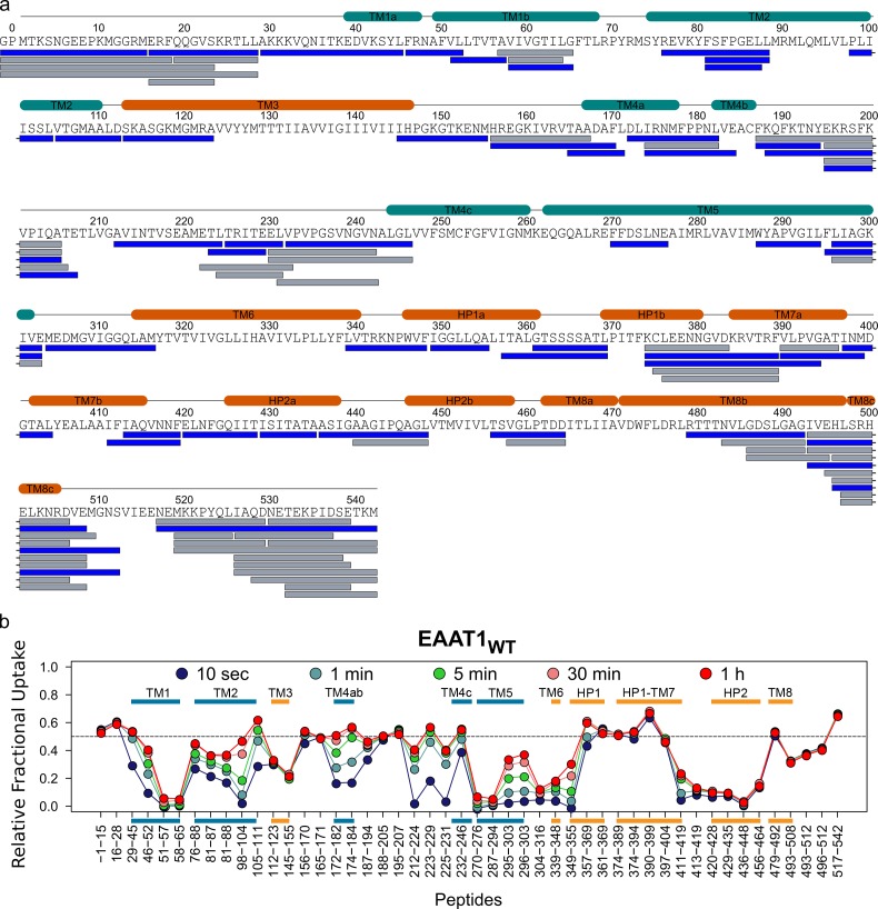 Figure 2—figure supplement 5.