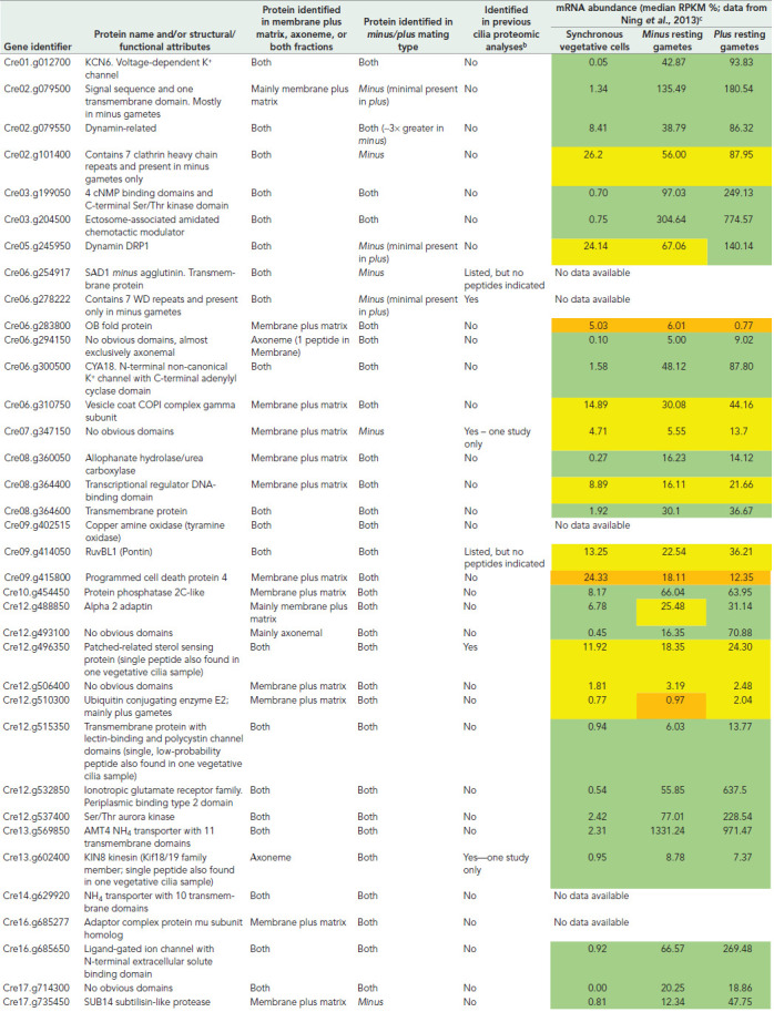 graphic file with name mbc-33-br10-g005.jpg