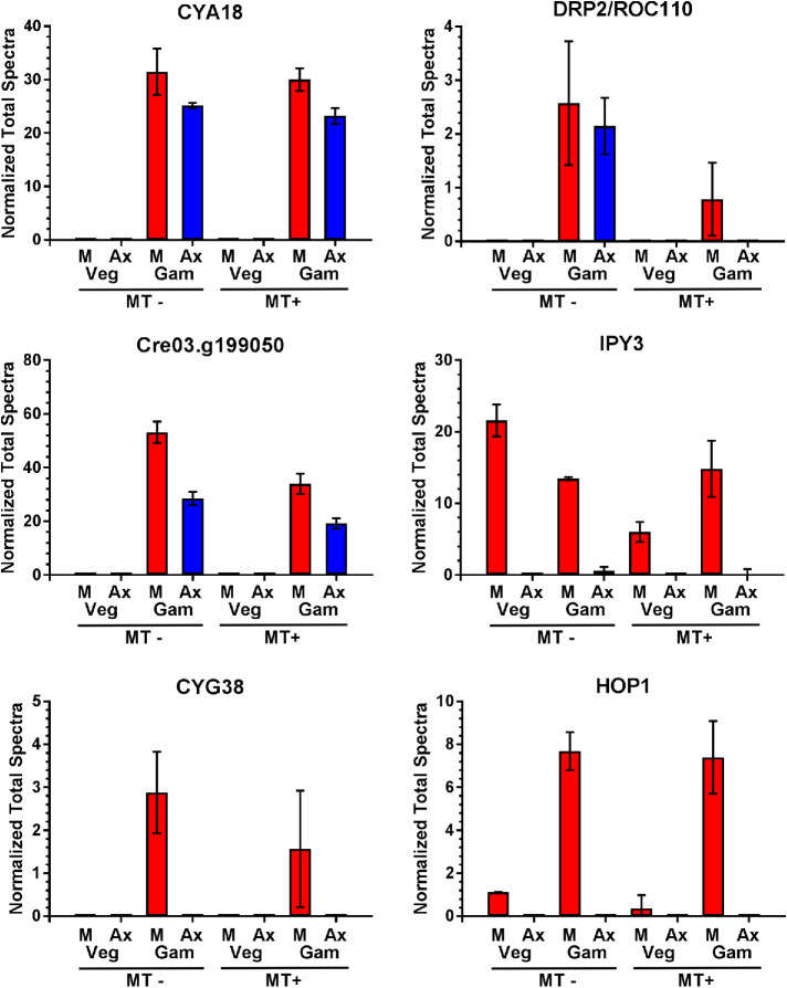 FIGURE 4: