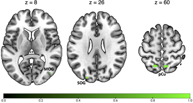 Fig. 7