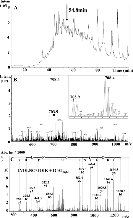 FIG. 1.