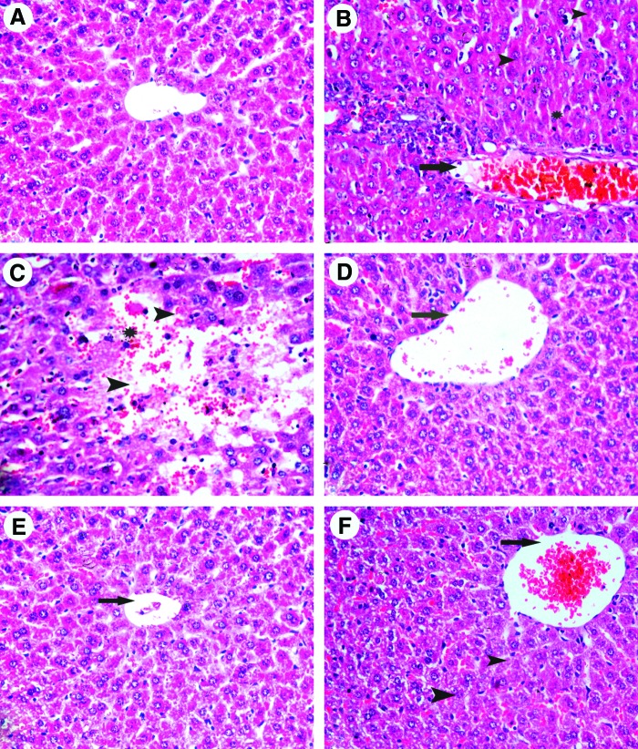 FIG. 9.