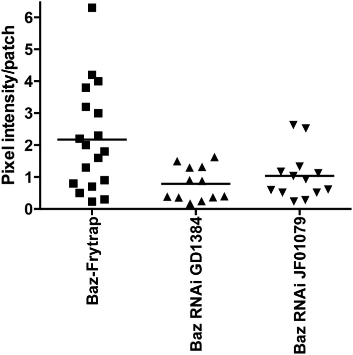 Figure 3—figure supplement 1.