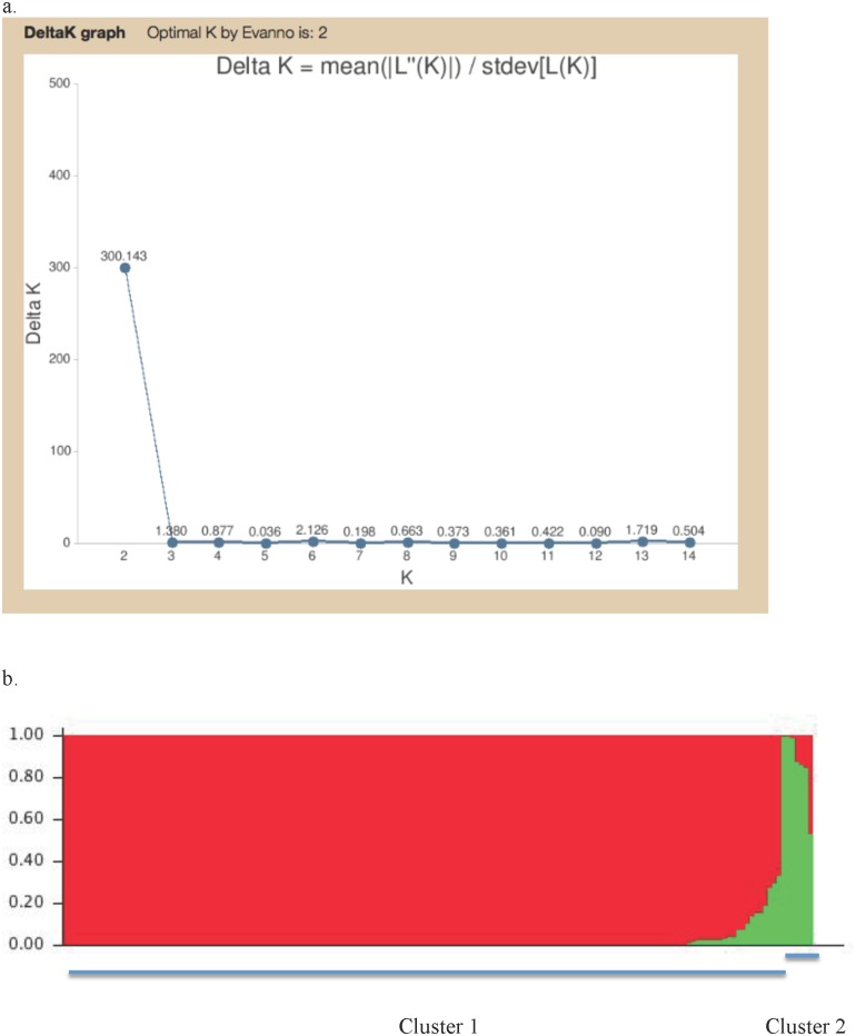 Fig 5