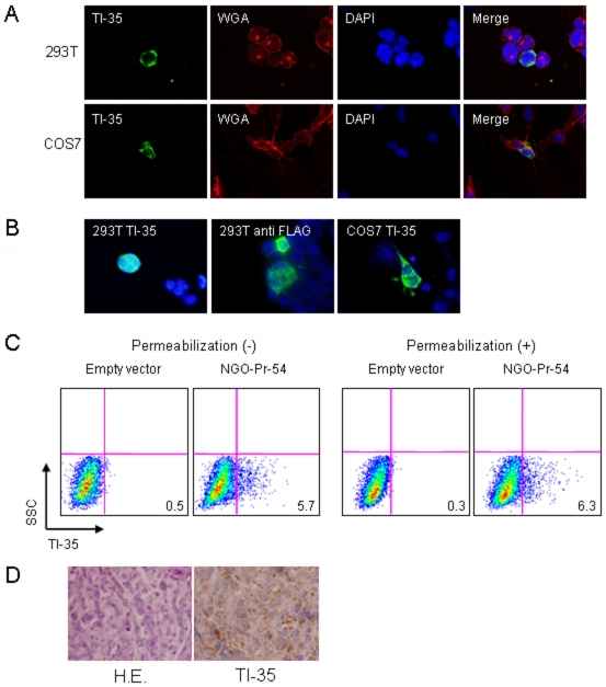 Figure 3