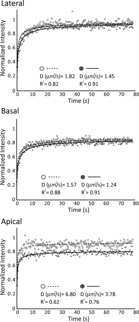 FIG. 2