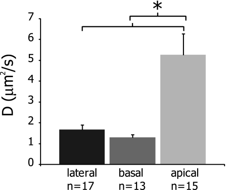 FIG. 3