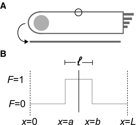 FIG. 7