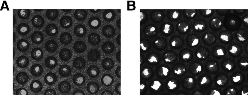 Fig. 3.