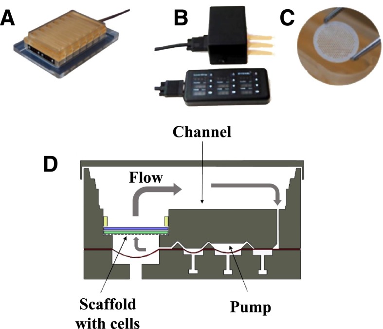 Fig. 2.