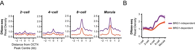 Figure 6—figure supplement 1.