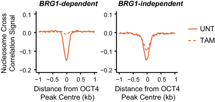 Figure 5—figure supplement 2.