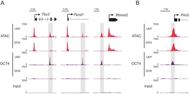 Figure 1—figure supplement 2.