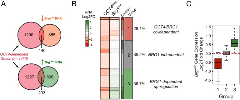 Figure 5—figure supplement 3.