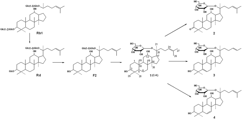 Fig. 7