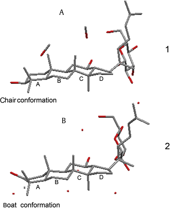 Fig. 2