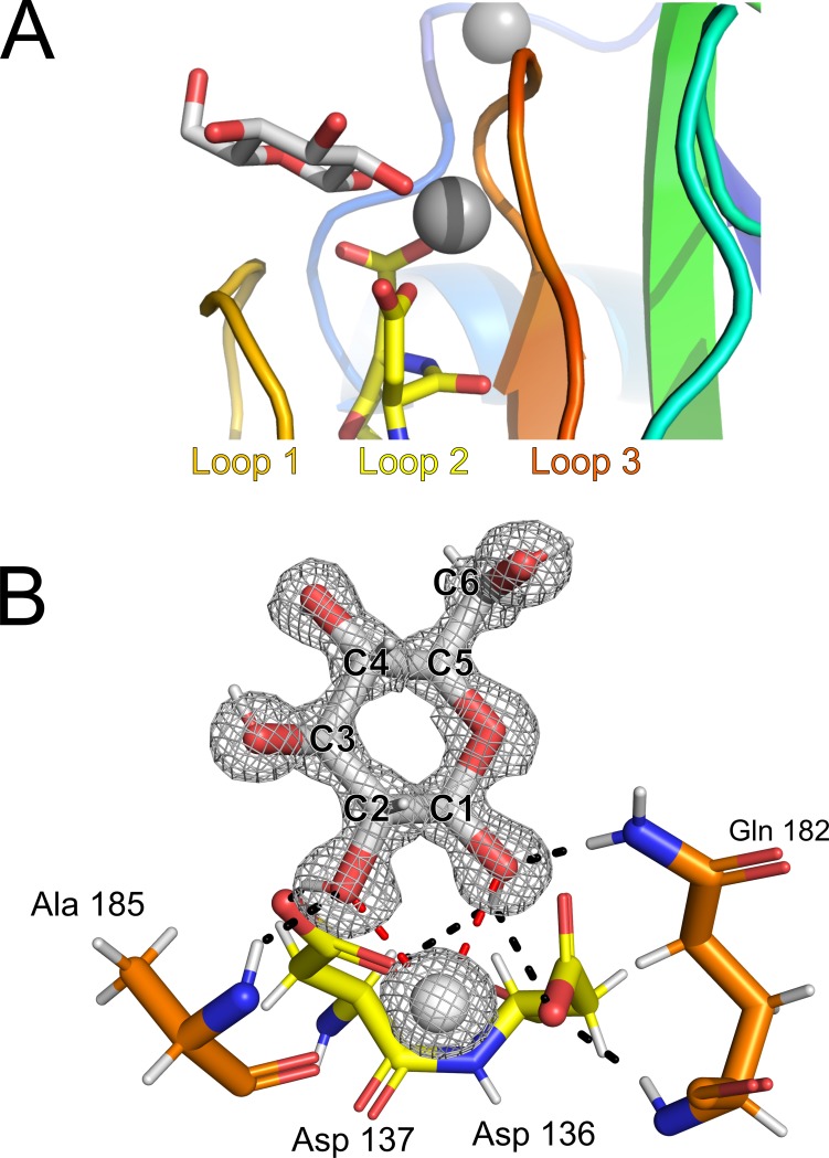 Fig 6