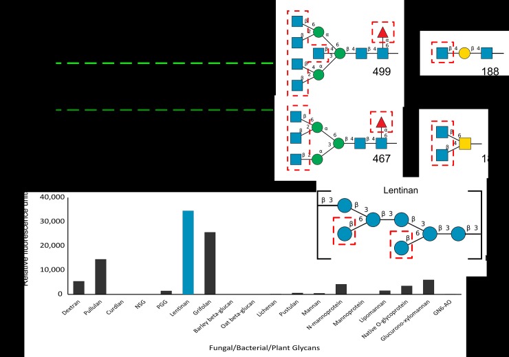 Fig 10