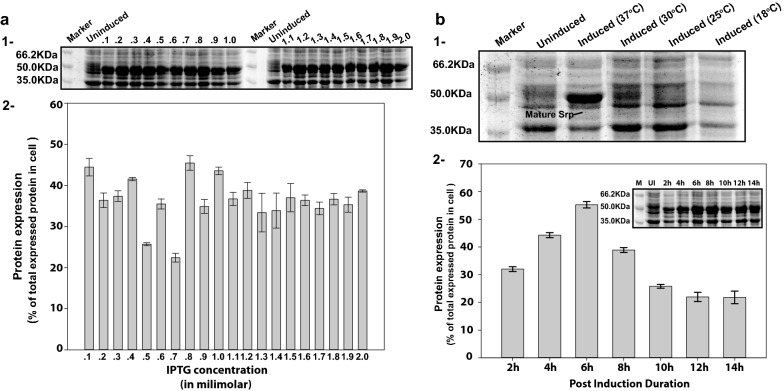 Fig. 4