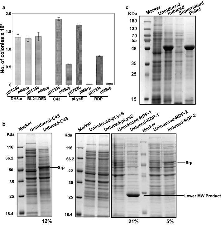 Fig. 2