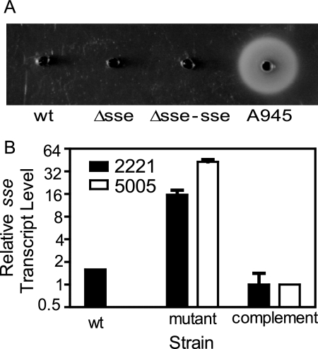 FIG. 7.