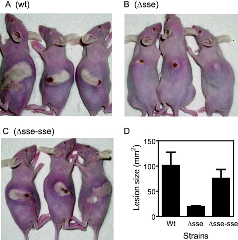 FIG. 5.