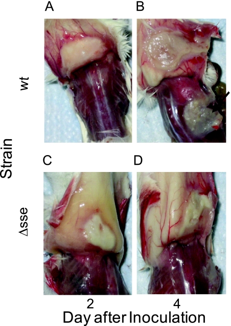 FIG. 3.