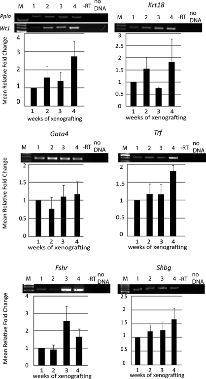 Figure 5