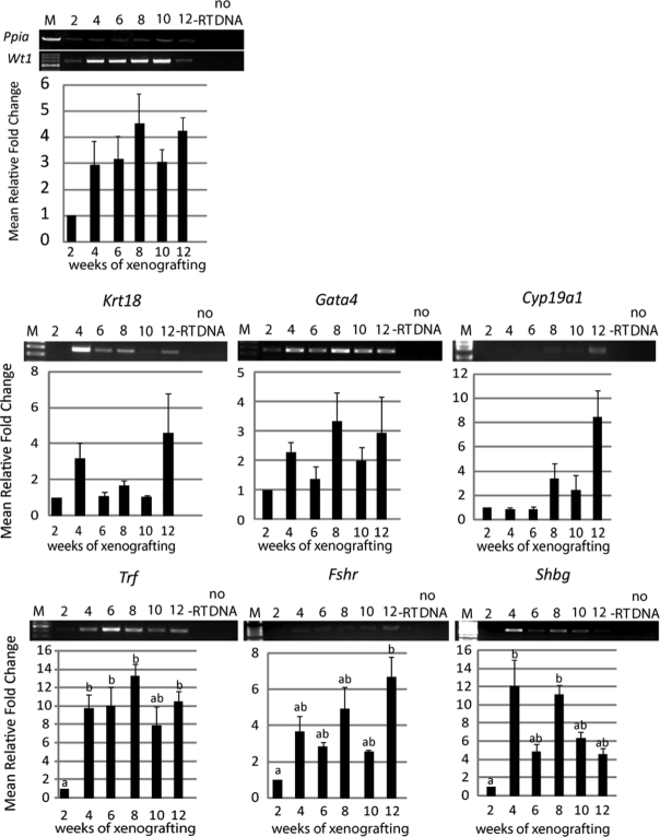 Figure 6