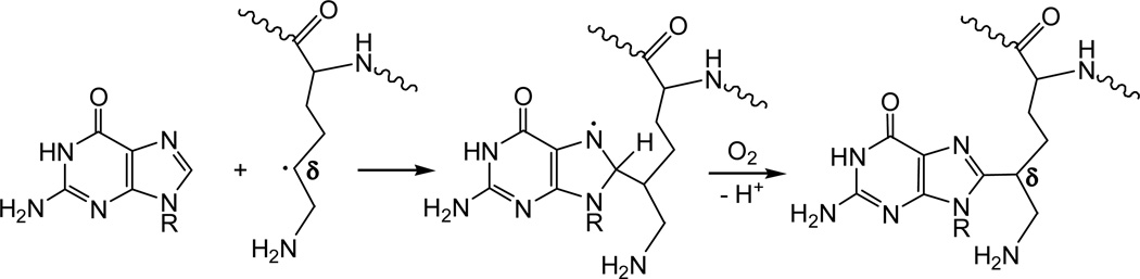 Figure 8