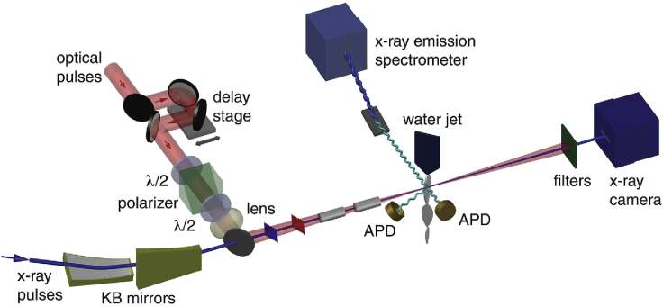 Figure 7