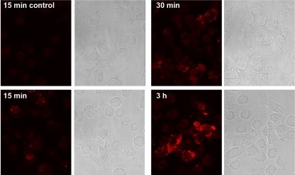 FIG. 3.