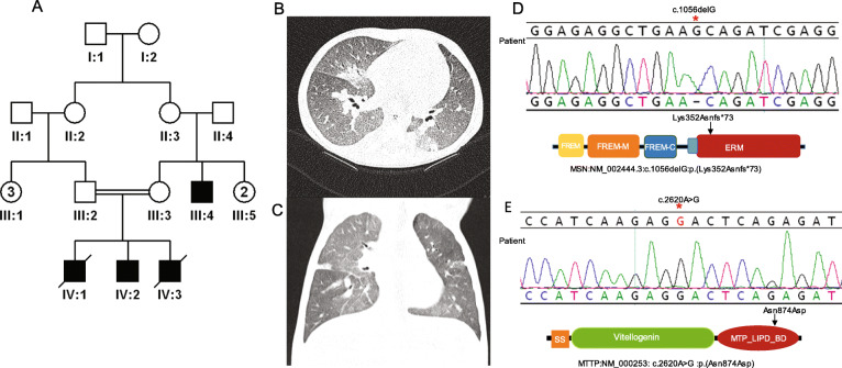 Fig. 4