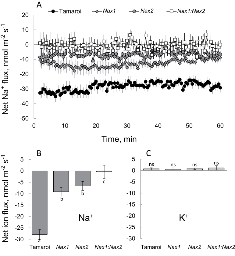 Fig. 3.