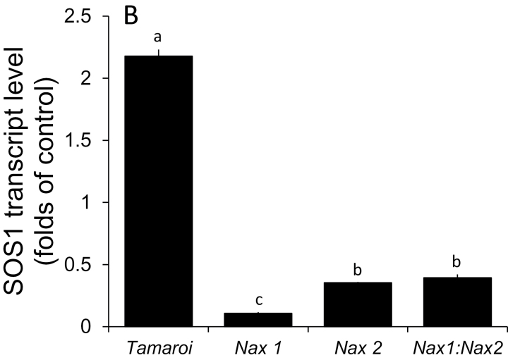 Fig. 6.