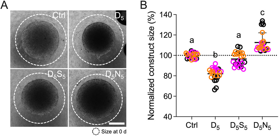 Fig. 5.