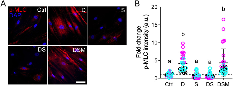 Fig. 3.