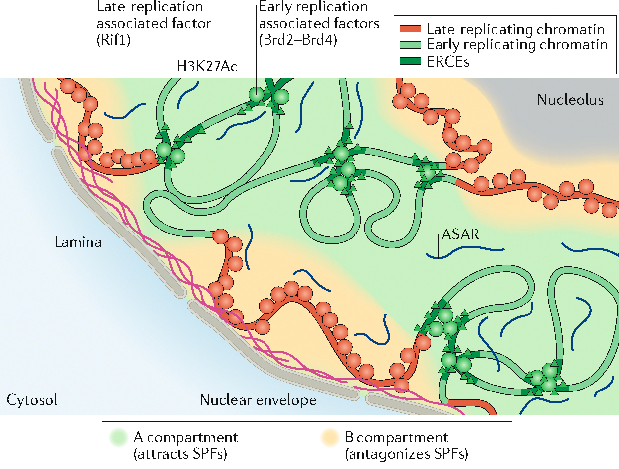 Fig. 5 |