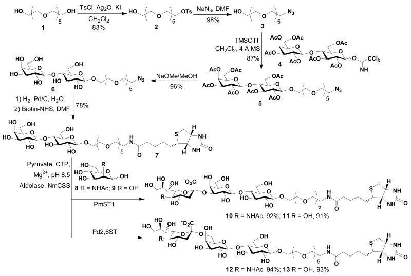 Scheme 1